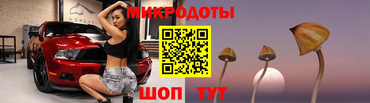 Лыткарино  Галлюциногенные грибы Psilocybe  Вход с VPN 