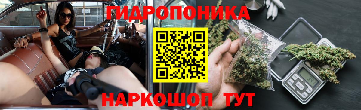 Канабис White Widow  Марихуана конопля  Лыткарино  Шишки марихуана гибрид  Вход с VPN  Шишки марихуана план 